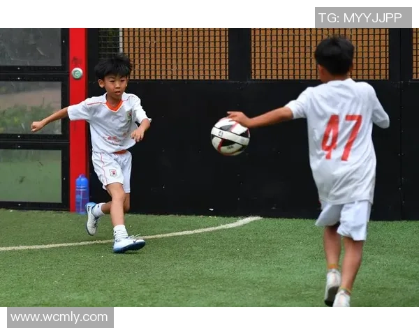 夏冰清与足球明星的浪漫邂逅与梦想追逐之旅